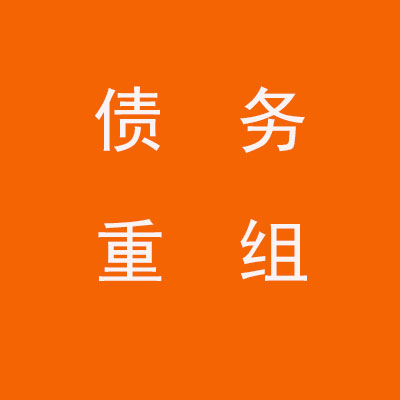 扎鲁特个人债务重组优化